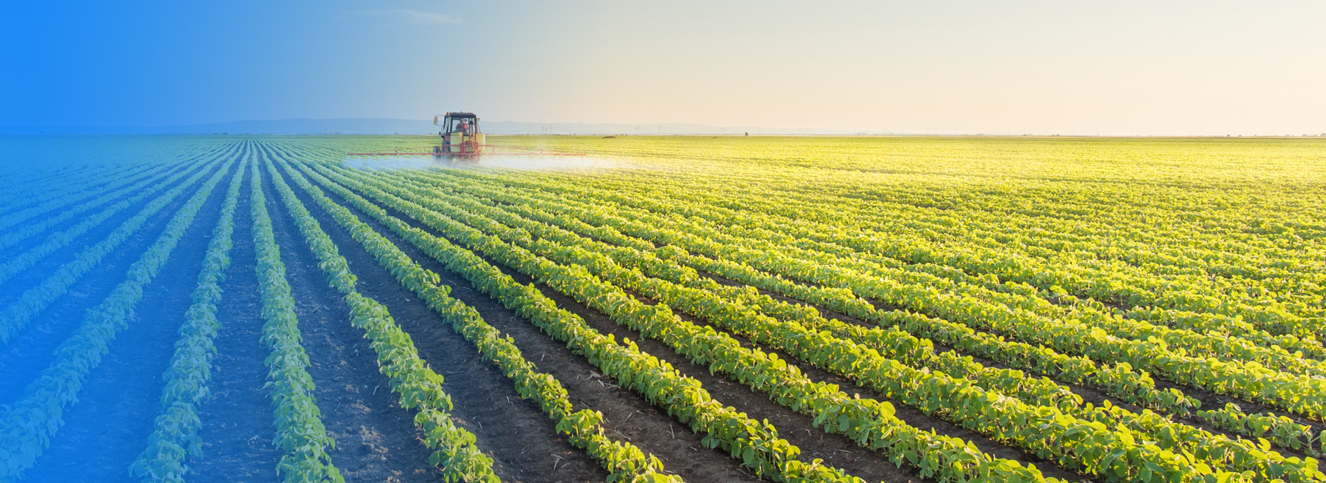 天山農(nóng)業(yè)公司